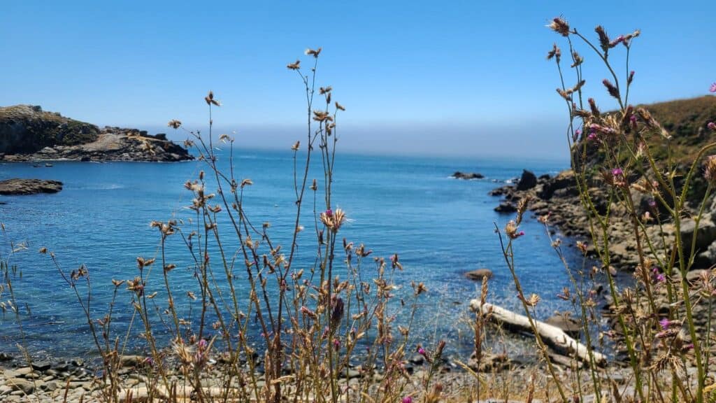 Grestle Cove Campsite Northern California