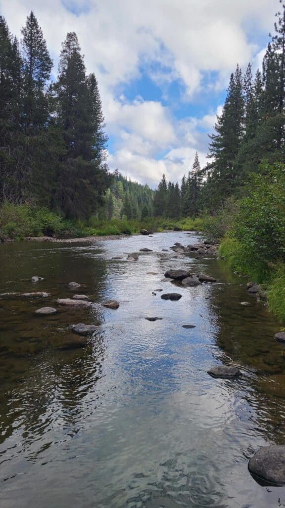 Looking down the gently flowing truckee river from the bank of Granite Flat Campsite