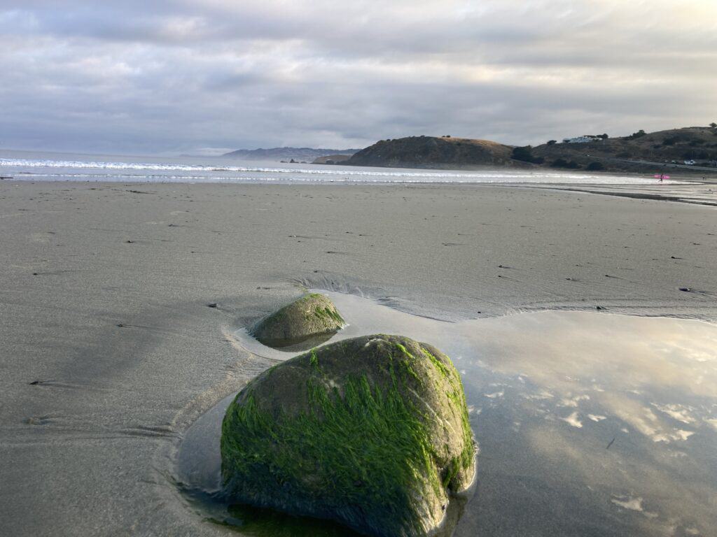 close up of a moss-covered rock looking out at the ocean.