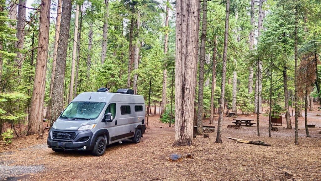 our wet gray and black van on the fresh bark campsite floor. surrounded by tall green redwood trees.