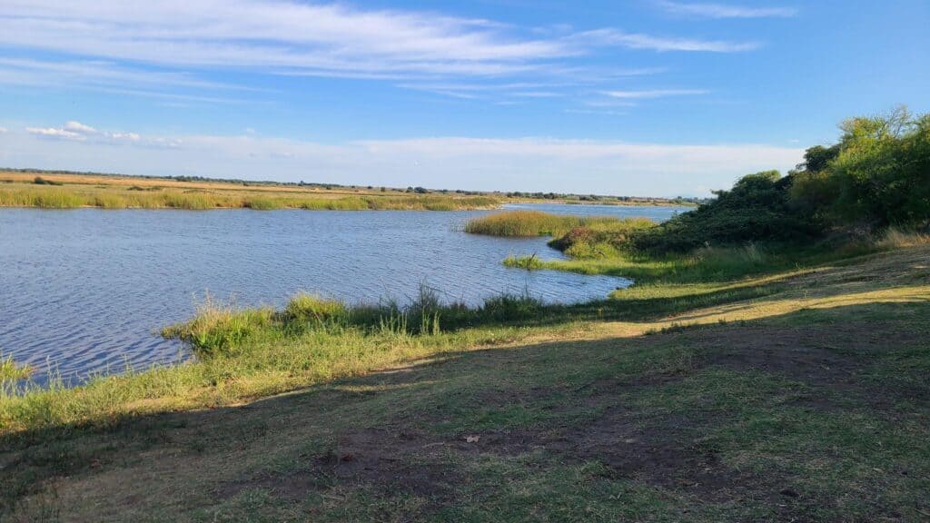 The swim area at Brannan Island State Recreation area.