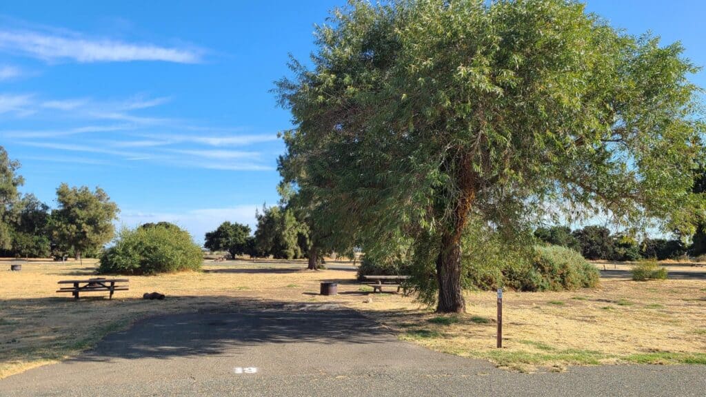 A view down the road at a campground and oak tree.