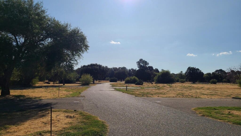 View down the campsite road at Willow Campground.