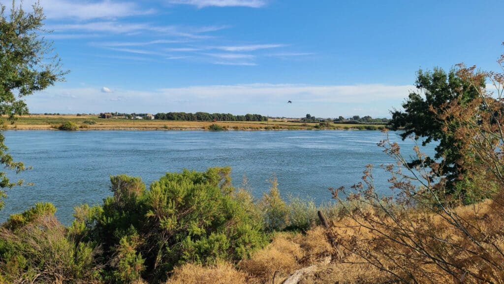 A view of the 3 mile slough from Willow Campground