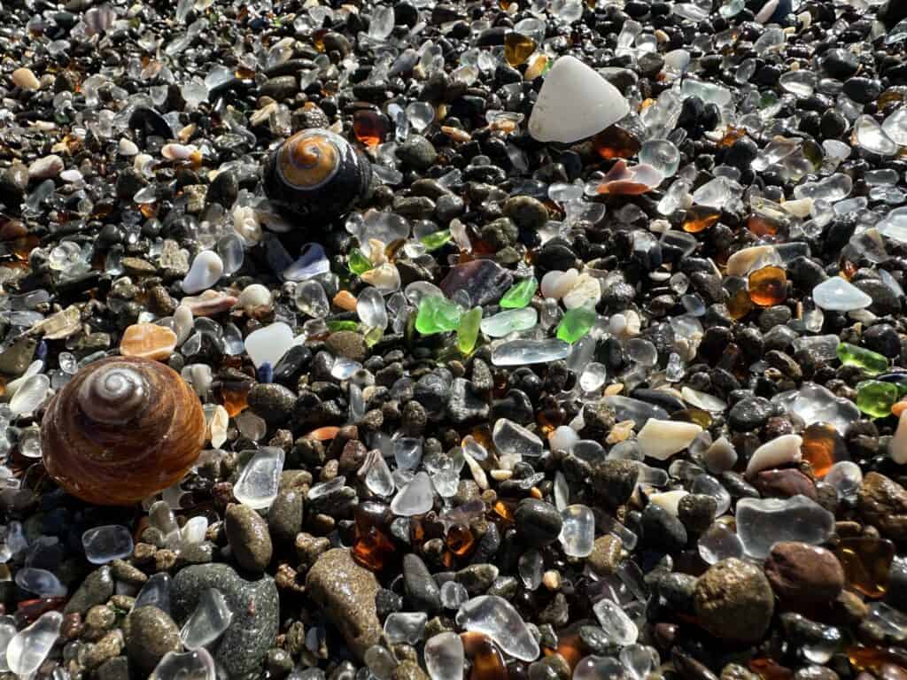 colored glass and shells on the beach