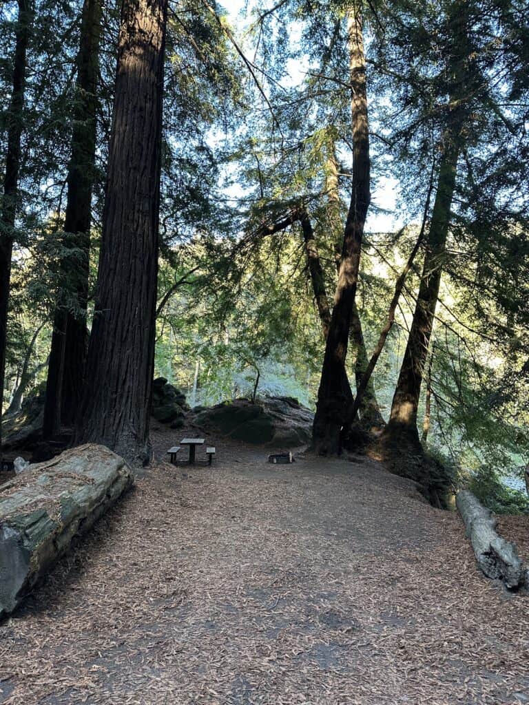 campsite at big sur campground and cabins