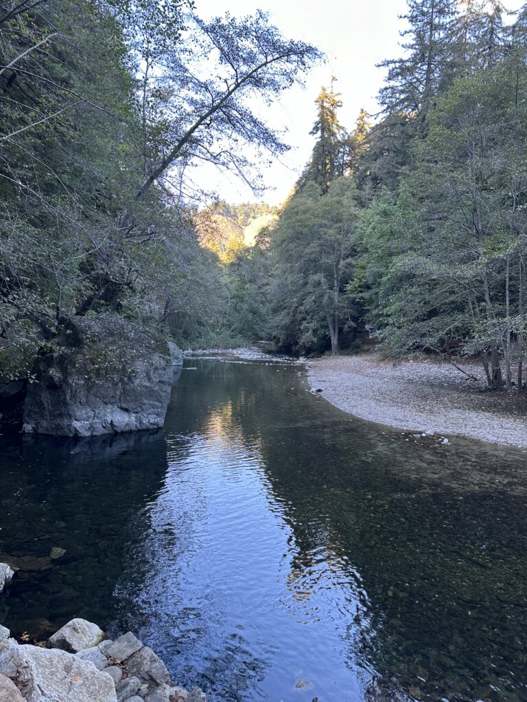 fernwood campground river view