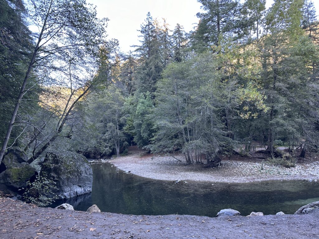 fernwood park campground swimming area