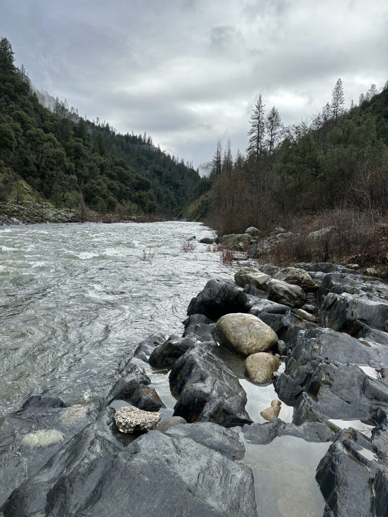 from the shore looking down the american river