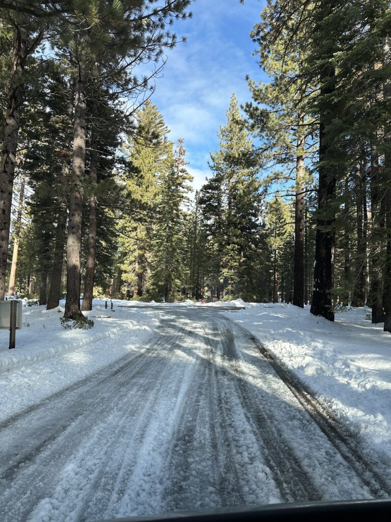 snow covered road into the trees