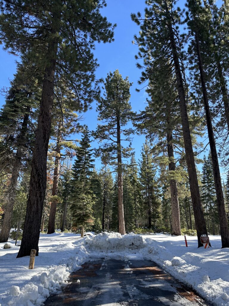 a snow covered campsite at suger pine point campground