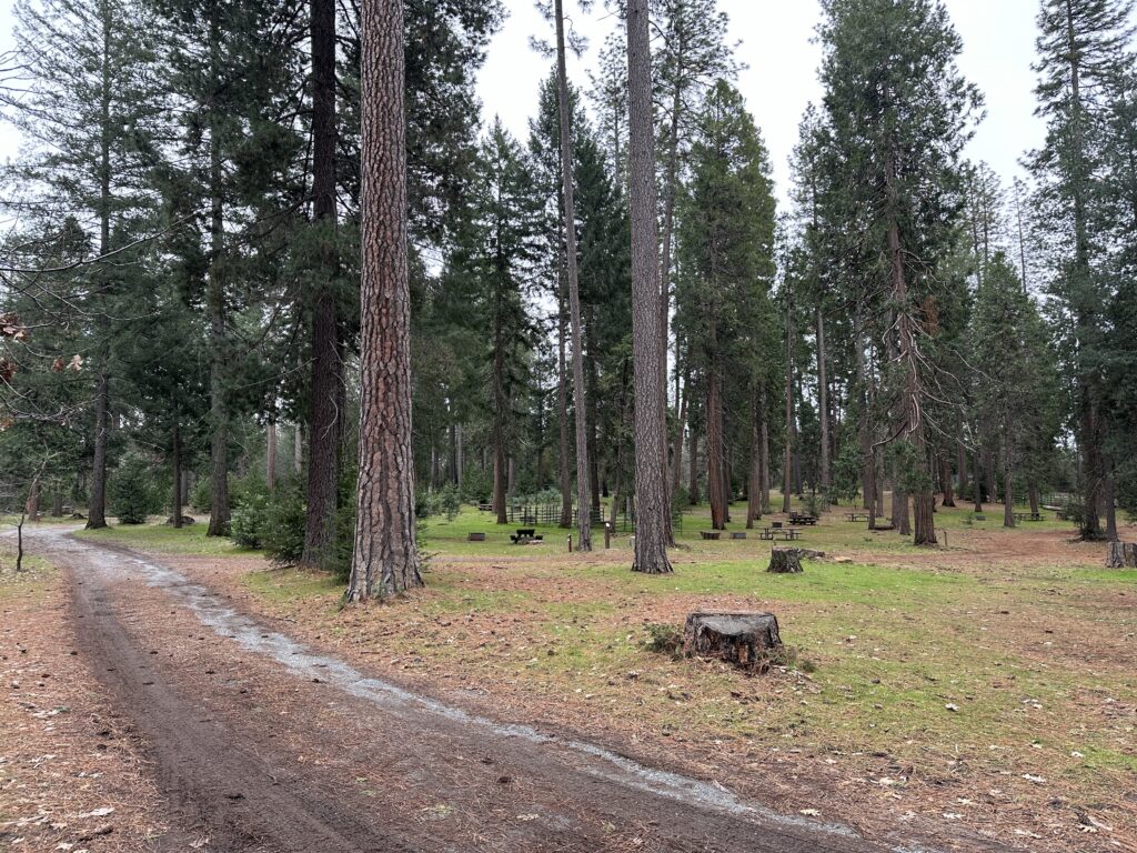 dru barner campground dirt road coming into the campground area