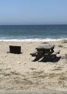 picnic bench and fire pit on the sand with the ocean in the background