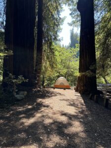 sunny riverside campsite at swimmers delight campground