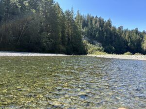 a water level view of the van duzen river