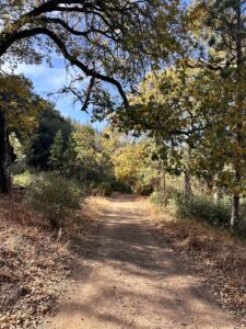 henry coe state park hiking trail