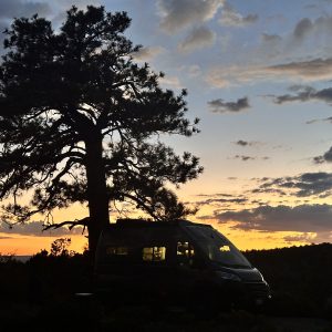 van after the sun has set with pink skies and a silhouette of a tree behind it